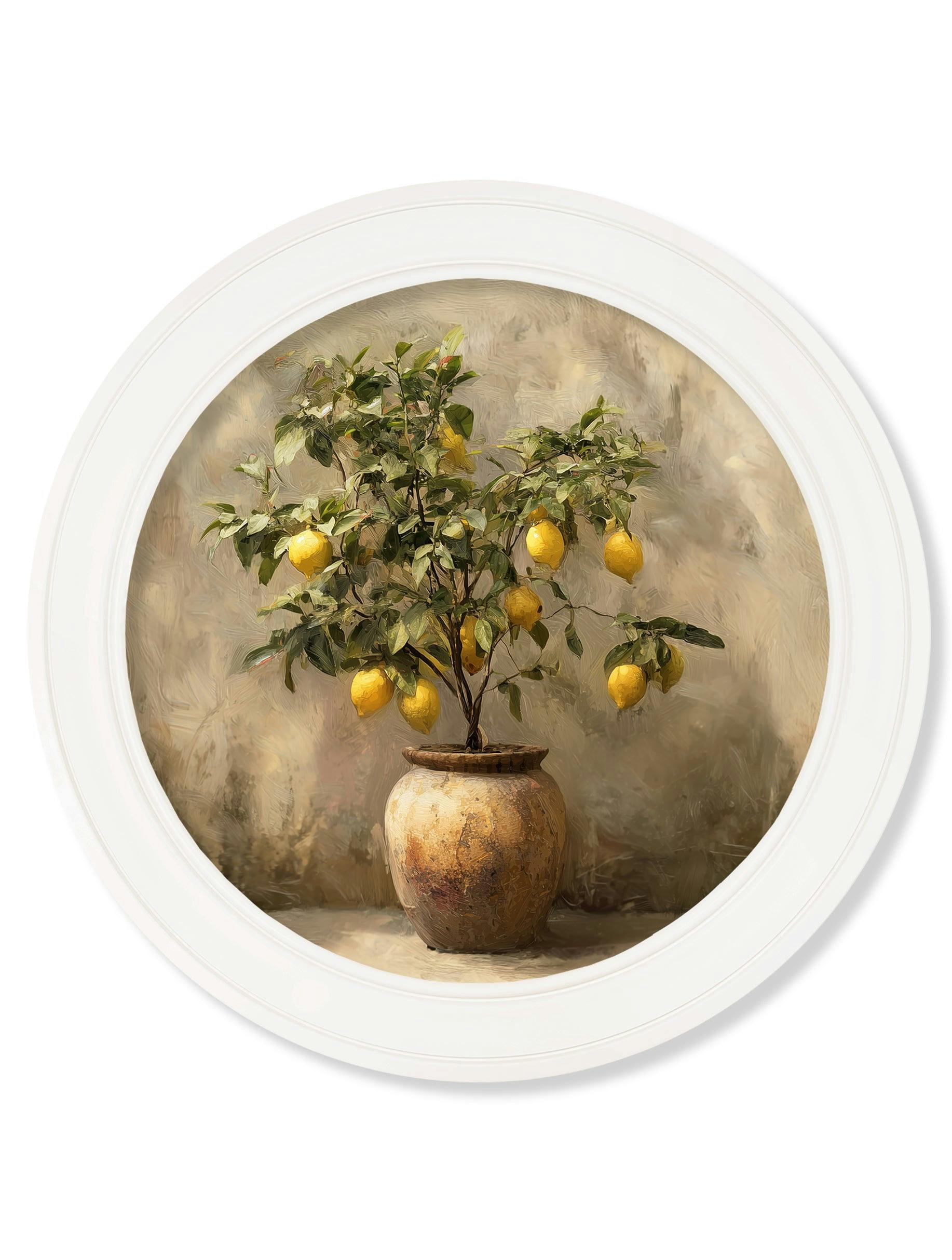 Rackhams White Mediterranean Lemon Tree - Oxford Strong Round Frame - Mediterranean Lemon Tree - 70 X 70Cm