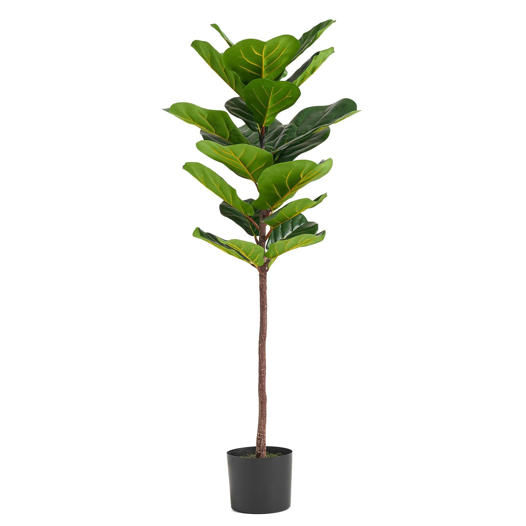 Botanik Green 120Cm Premium Artificial Fiddle Fig Tree - 120Cm - 120Cm