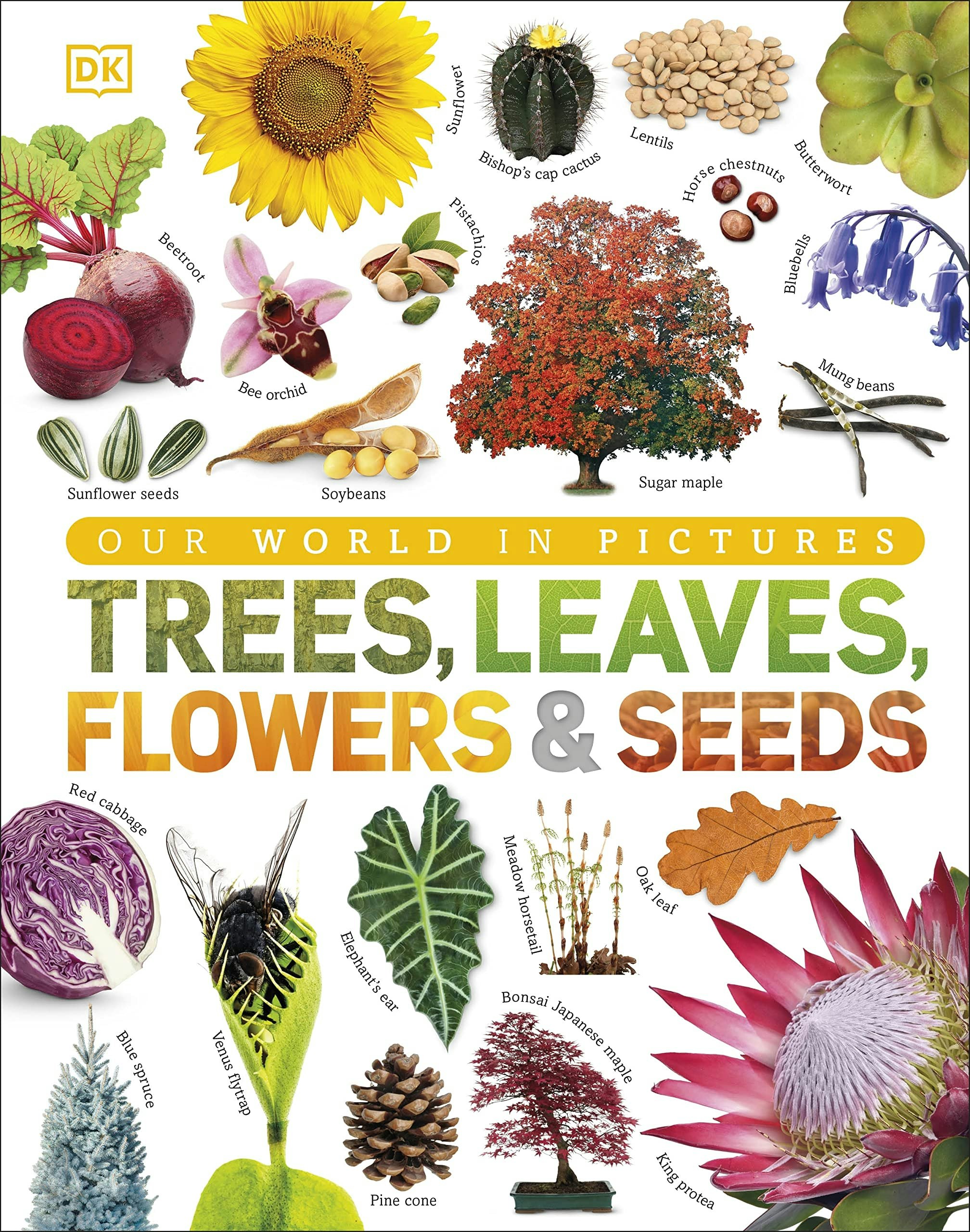 Various Publishers Our World In Pictures: Trees, Leaves, Flowers And Seeds: A Visual Encyclopedia Of The Plant Kingdom