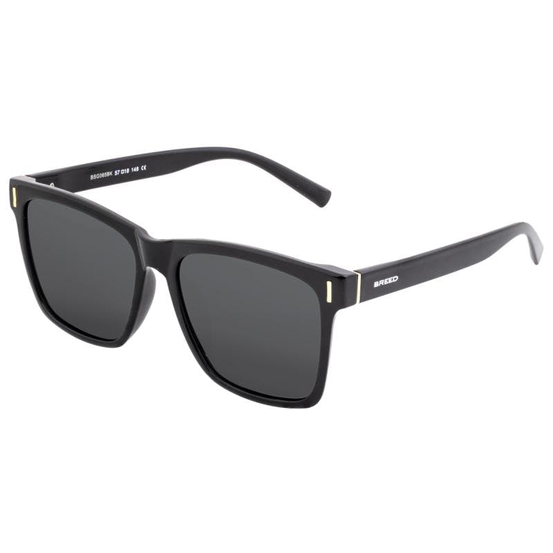 Breed Black Pictor Polarized Sunglasses