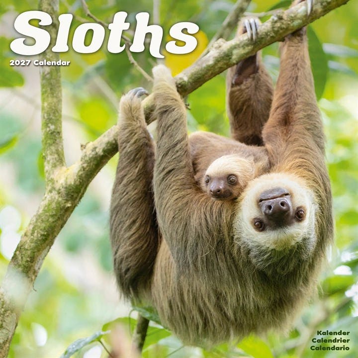 Sloths Calendar 2027, Wall Calendars, Month To View, Animals, Gift - Image 7