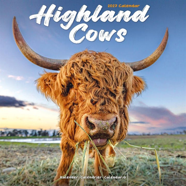 Highland Cows Calendar 2027 - Image 7