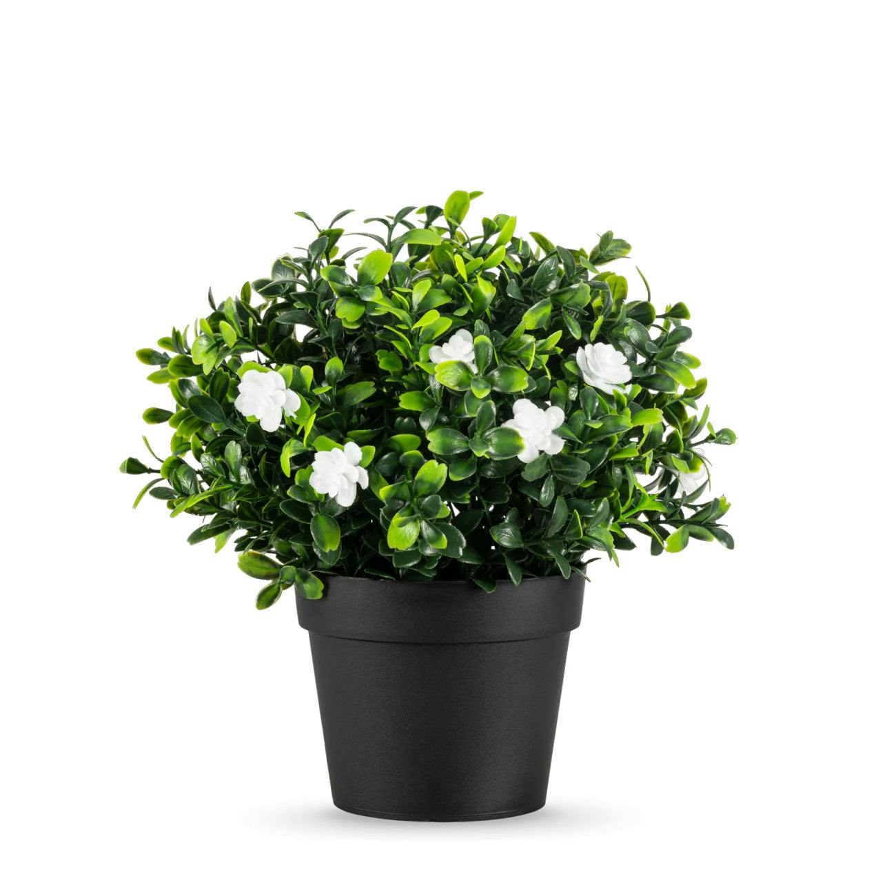 True Products Green Small Potted Jasmine Artificial Plant 22Cm