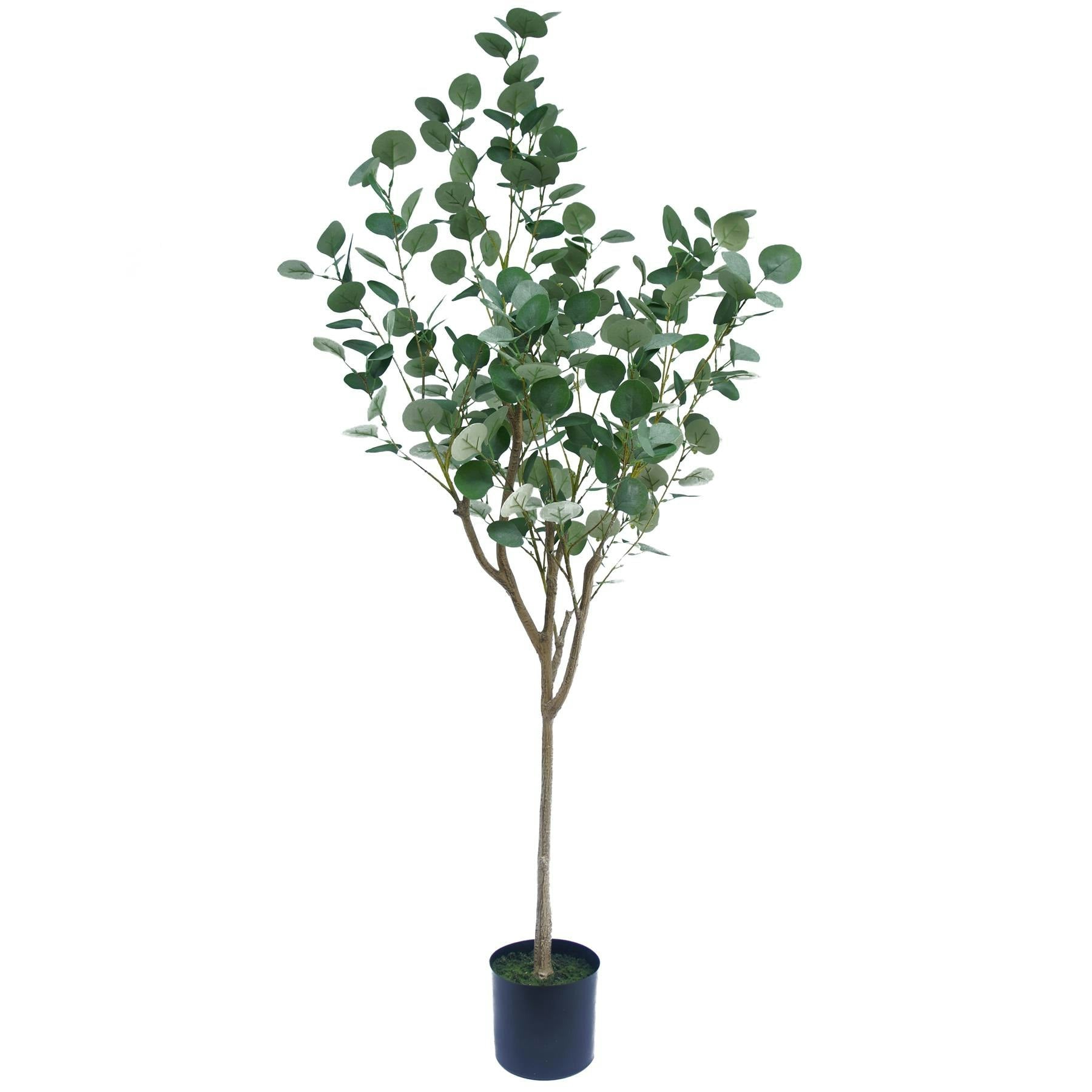 Leaf Unisex Green Artificial Eucalyptus Tree Premium In 150Cm - Image 7