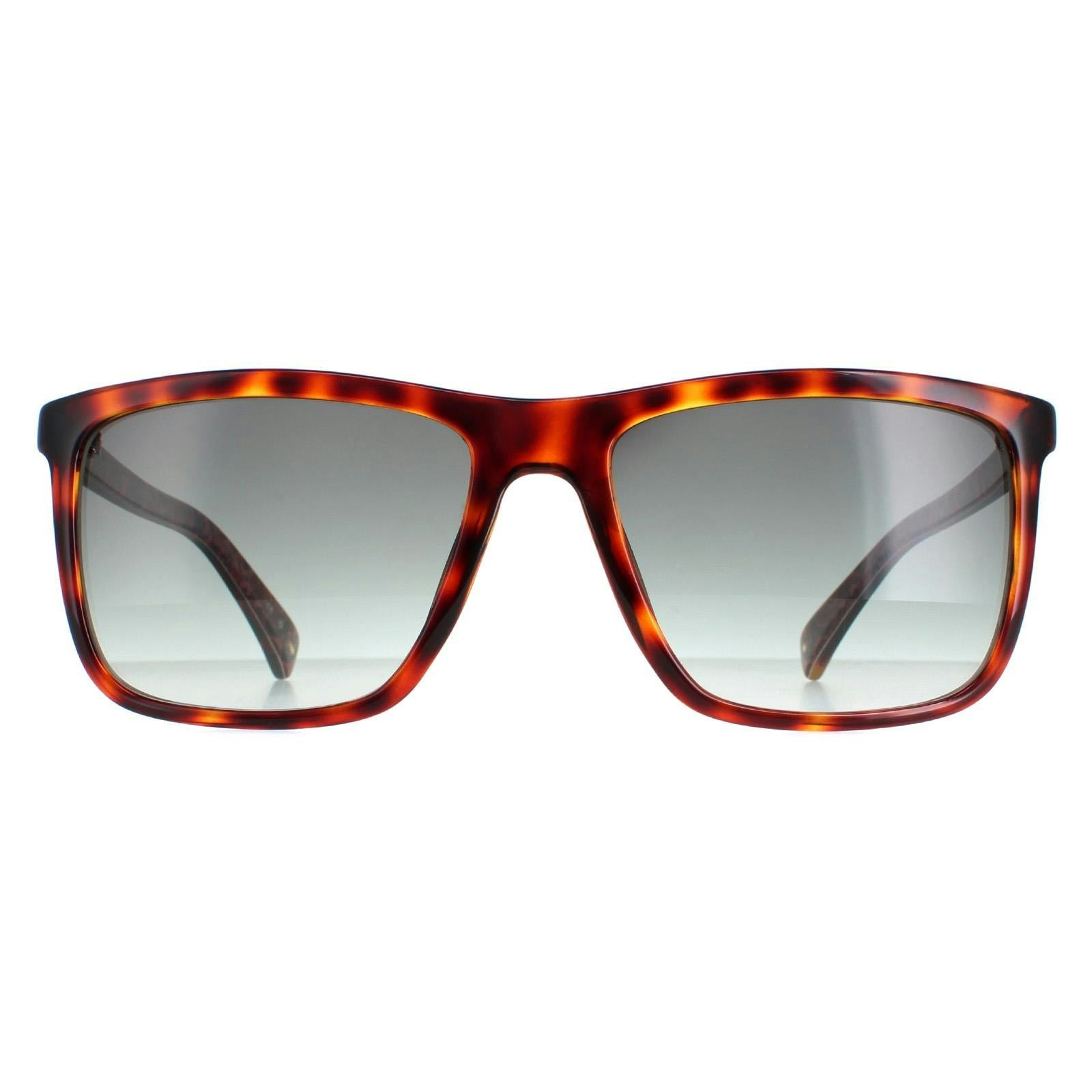 Ted Baker Grey Sunglasses Tb1663 Havna 122 Havana Gradient