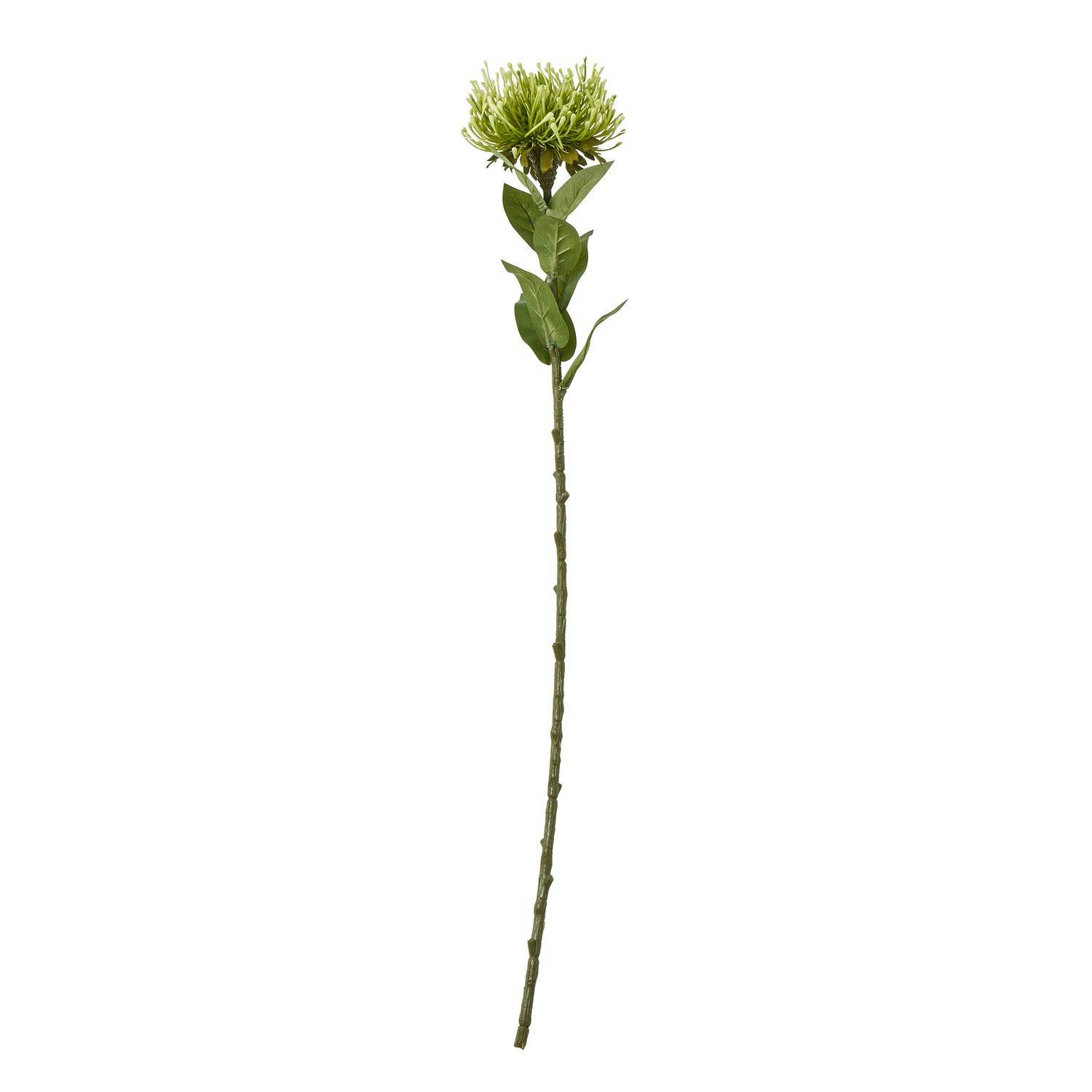 Hill Interiors Green Protea Lorea Stem Artificial Plant - One Size