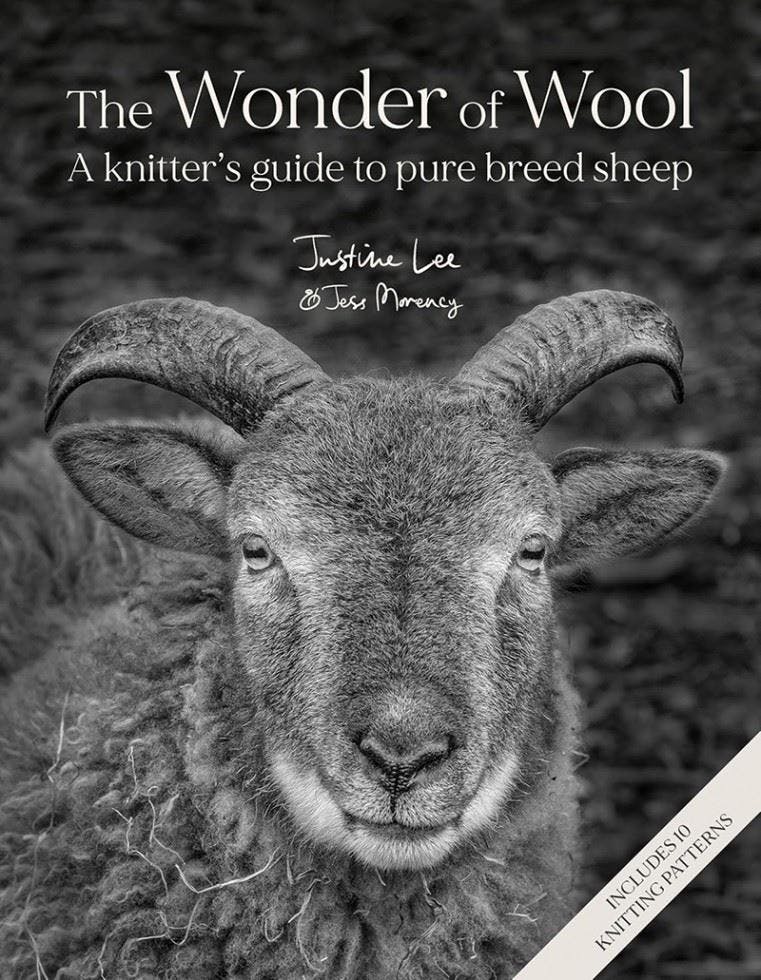 Wonder Of Wool - Image 9