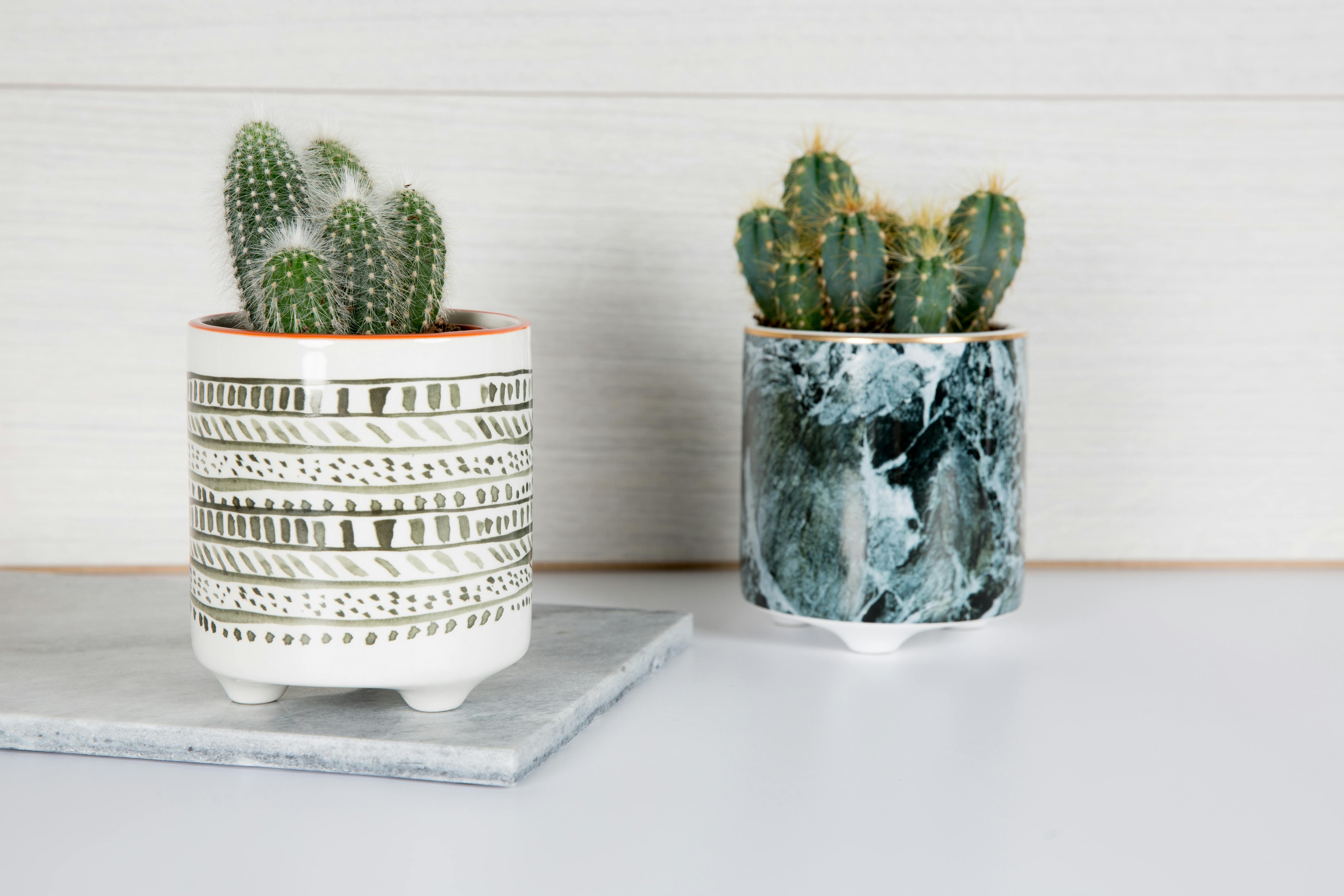 Rackhams Green Marble Planter - Ceramic - Planter