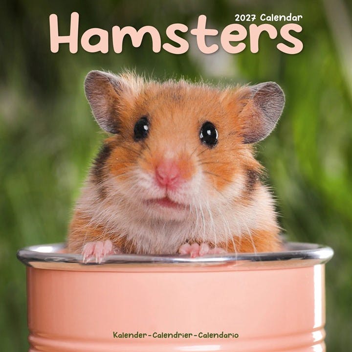 Light Hamsters Calendar 2027, Wall Calendars, Month To View, Animals, Gift - Image 8