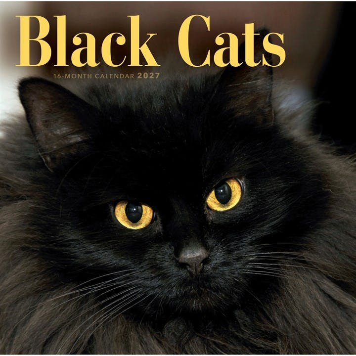Black Cats Calendar 2027, Wall Calendars, Month To View, Cats, Gift - Image 3