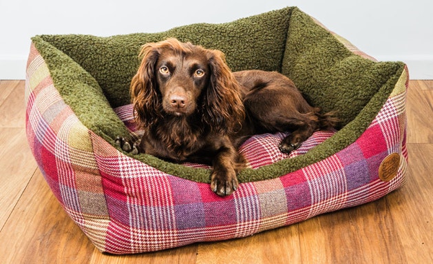 Snug And Cosy Pets Highland Mulberry - L