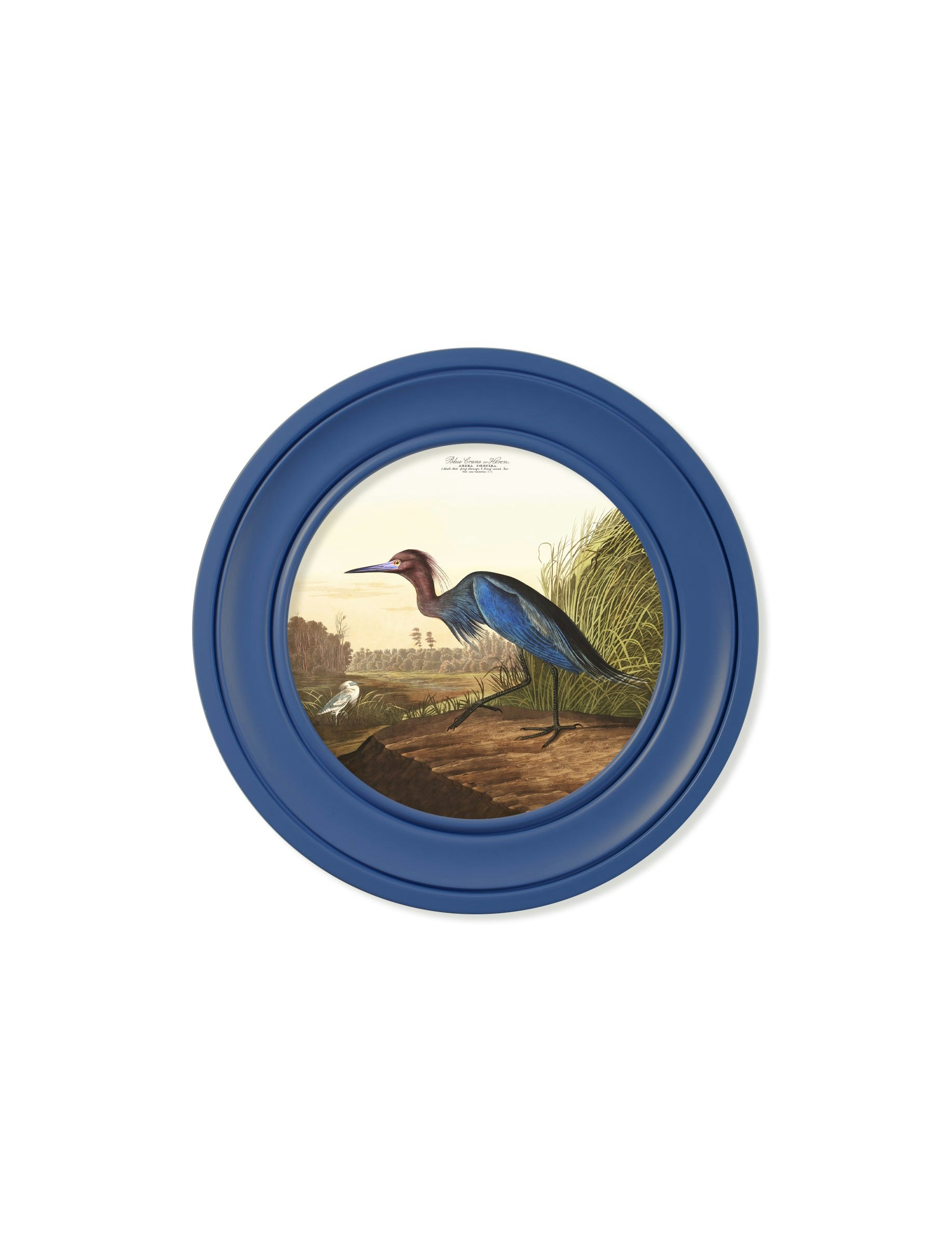 Rackhams Blue C.1838 Audubon's Heron In Frame - 44 X 44Cm - Oxford Round