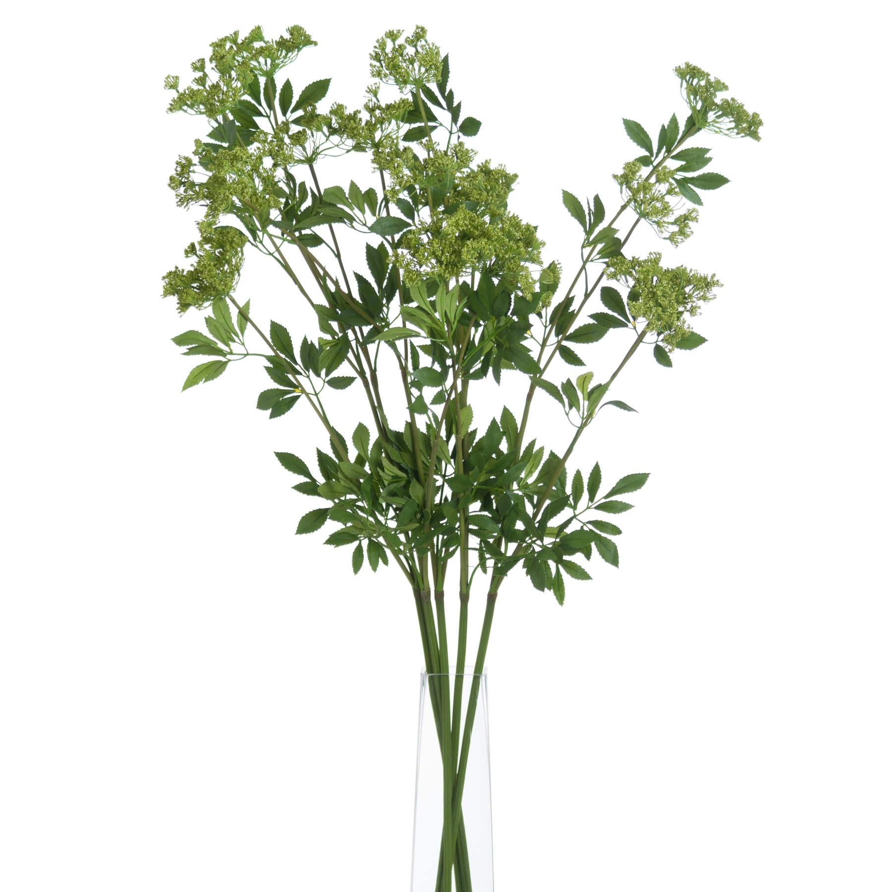 Hill Interiors Green Faux Ammi - One Size - 100% Plastic