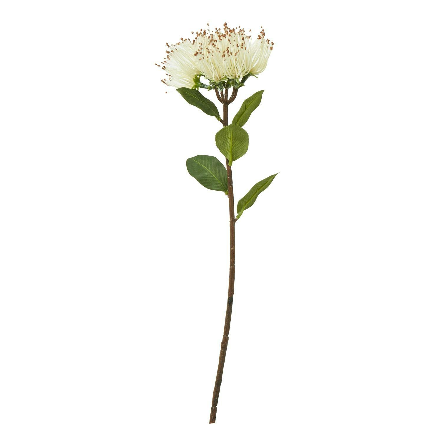 Hill Interiors Cream Protea Nitida Stem Artificial Plant - One Size - 100% Mixed