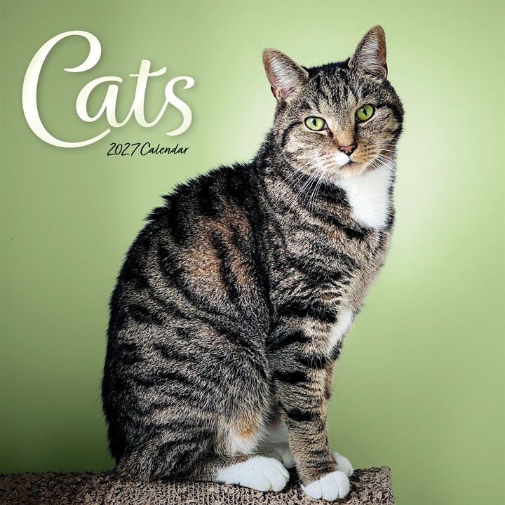 Carousel Worldwide Cats 2027 Wall Calendar 12-Month Calendar | Spiral | 2026 - Image 6