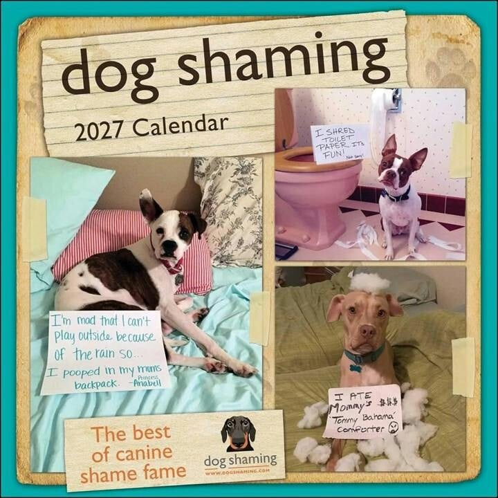Dog Shaming 2027 Wall Calendar by dogshaming.com (Calendar) - Image 7