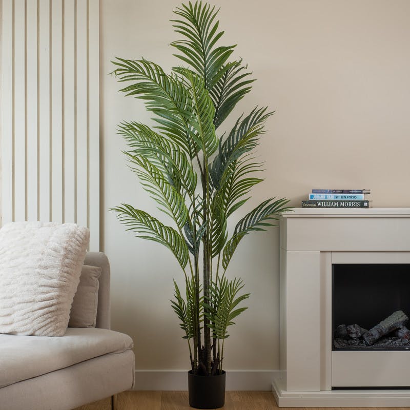 Scottish Everlastings Green 180Cm Real Touch Pearl Palm Tree