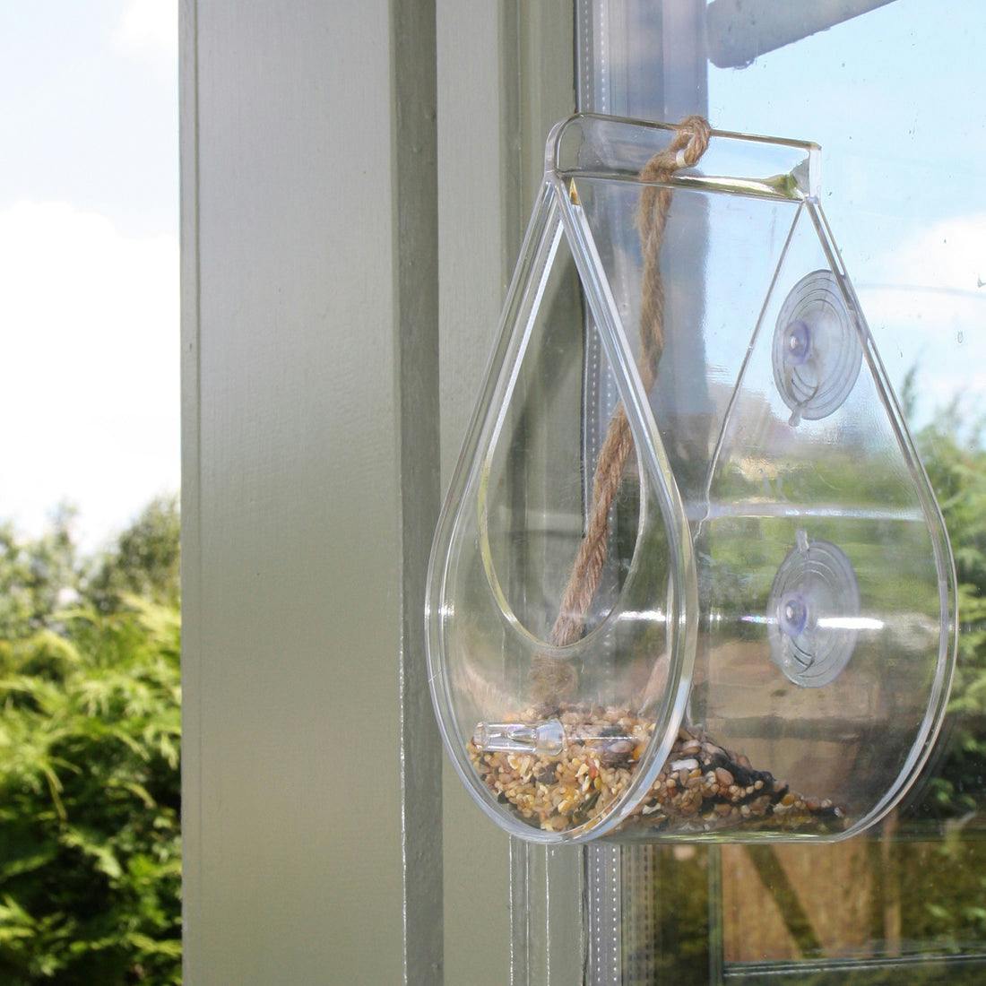 Smartbies Dewdrop Window Bird Feeder