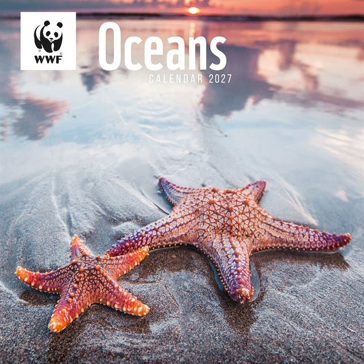 Rackhams Wwf, Oceans Calendar 2027, Wall Calendars, Month To View, Animals, Gift