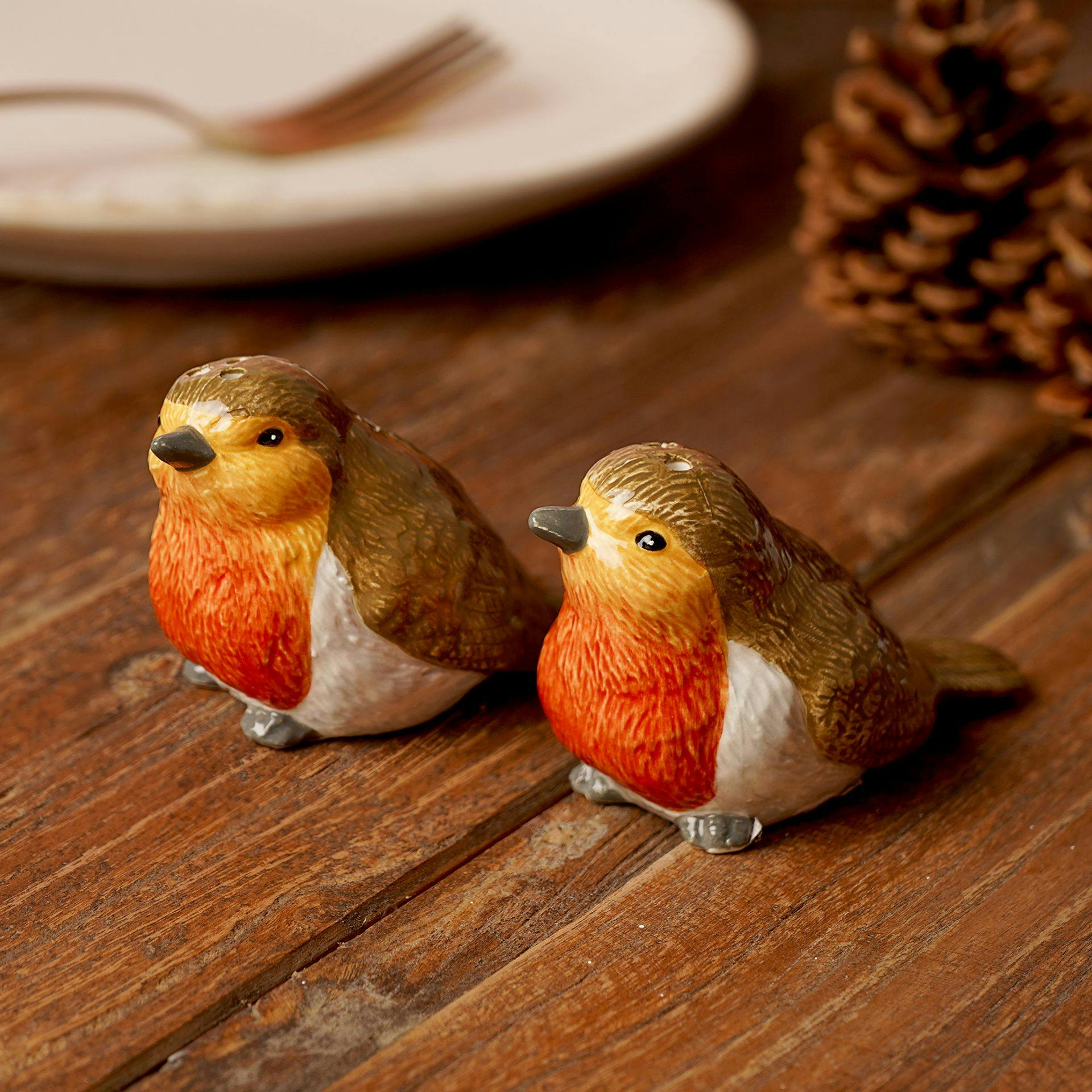Rackhams Red/Brown/Dark Robin Salt & Pepper Pots