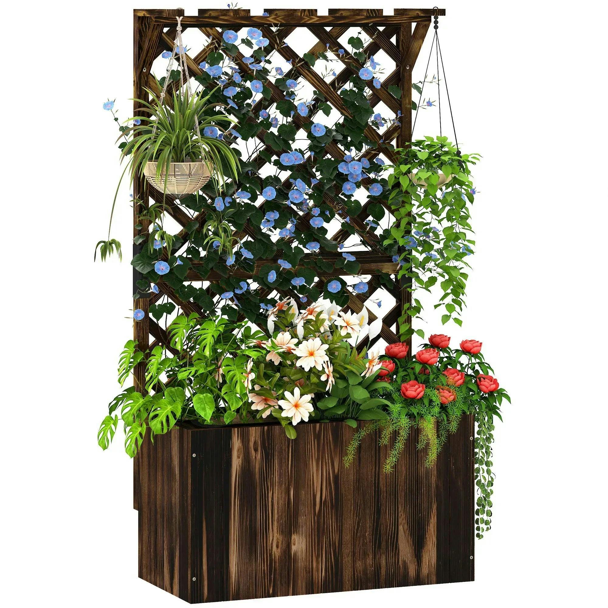 Rackhams