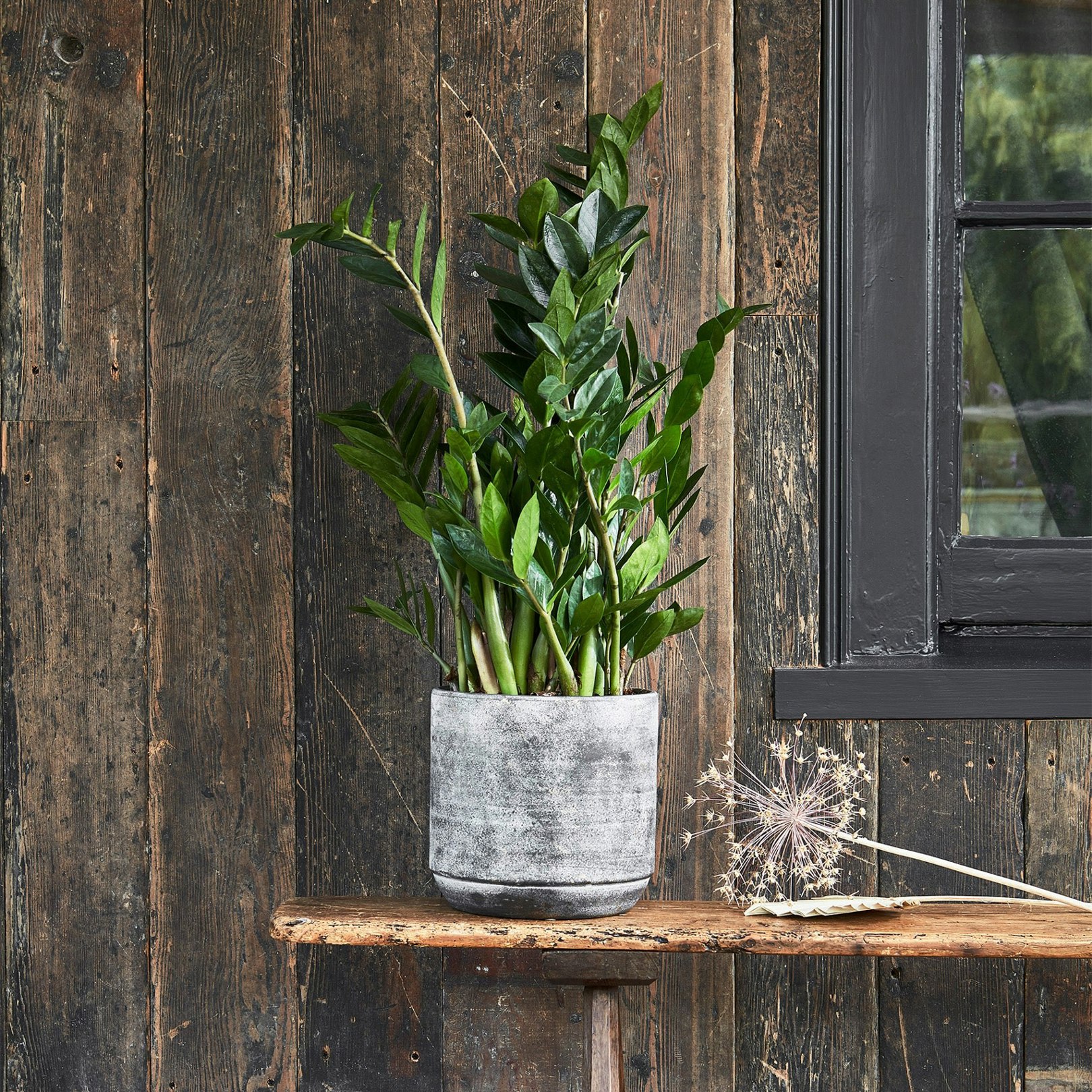 Rackhams Dark Tivoli Planter Earth