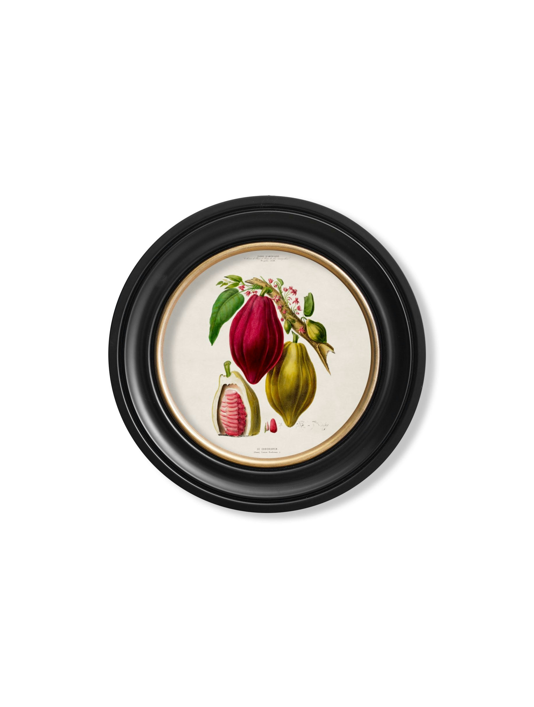 Rackhams C.1843 Chocolate Plant - Round Frame - 44 X 44Cm - Oxford Round