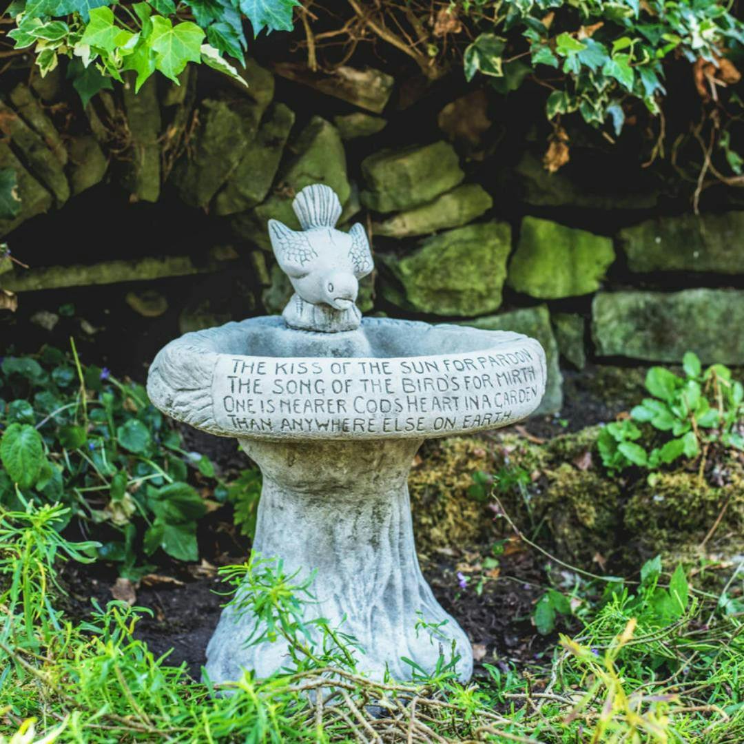 Osn Garden Birdbath 'Kiss Of Sun' With Bird Atop